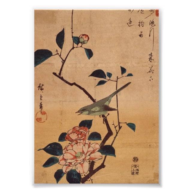 Oriental Camellia and Warbler Photo Print (Front)