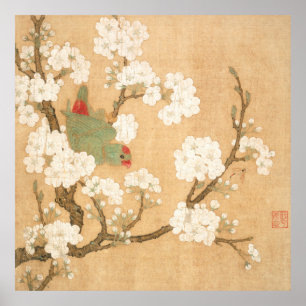 Oriental Chinese Parrot And Pear Blossoms Poster