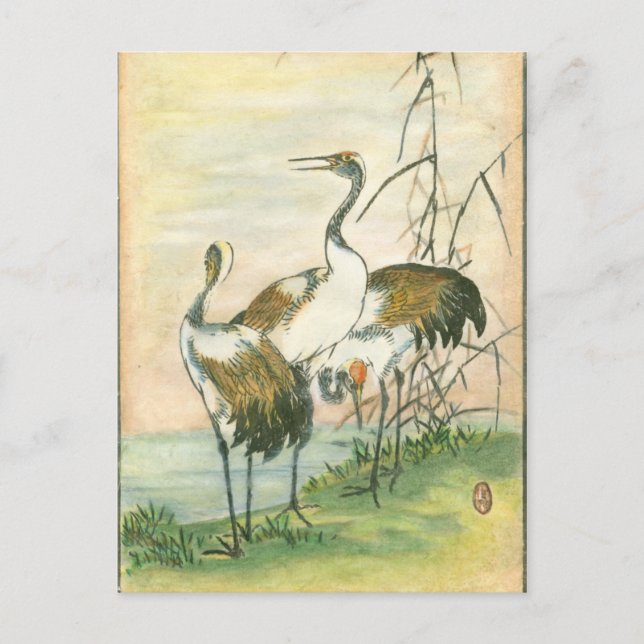 Oriental Cranes by the Water Postcard (Front)