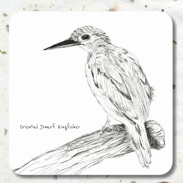 Oriental Dwarf Kingfisher In Pen Drawing Square Sticker (Creator Uploaded)