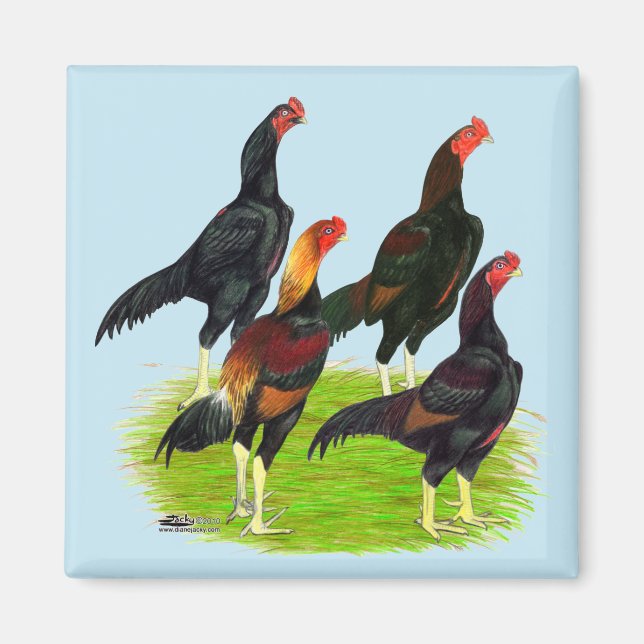 Oriental Game Fowl Quartet Magnet (Front)