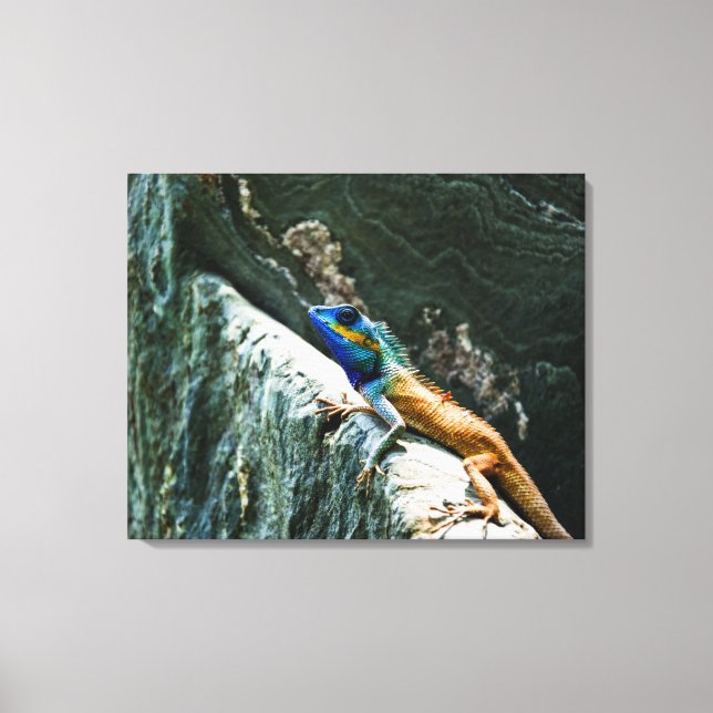 Oriental Garden Lizard - Wrapped Canvas (Front)