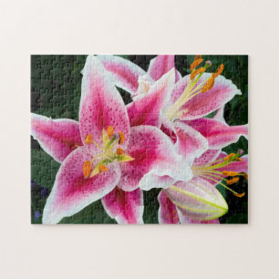 Oriental Lily Closeup in Full Bloom Jigsaw Puzzle