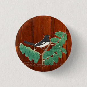 Oriental Magpie-Robin 3 Cm Round Badge