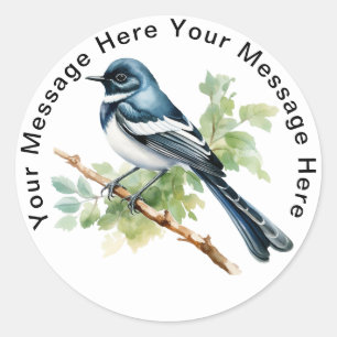 Oriental Magpie-Robin  Classic Round Sticker