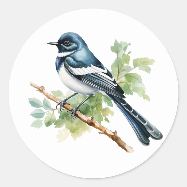 Oriental Magpie-Robin Songbird Stickers (Front)