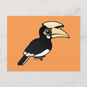 Oriental Pied Hornbill Postcard