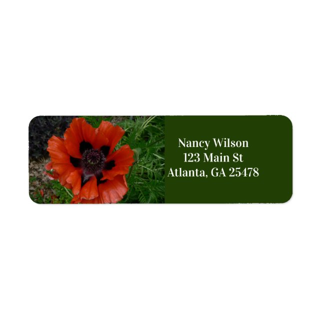 Oriental poppy   (Front)