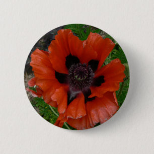 Oriental poppy 6 cm round badge