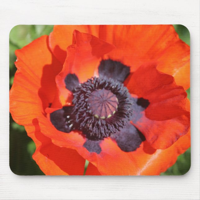 Oriental Poppy Flower Mouse Mat (Front)