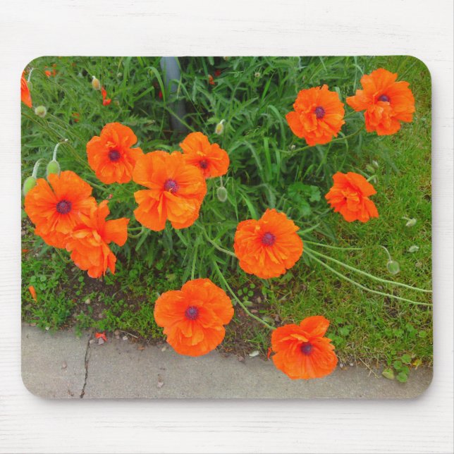 Oriental Poppy Flower Mouse Pad (Front)