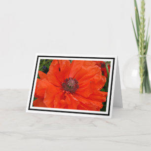 Oriental Poppy Greetings Card