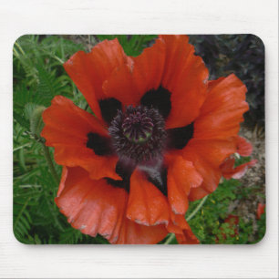 Oriental poppy mouse mat