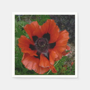 Oriental poppy napkin
