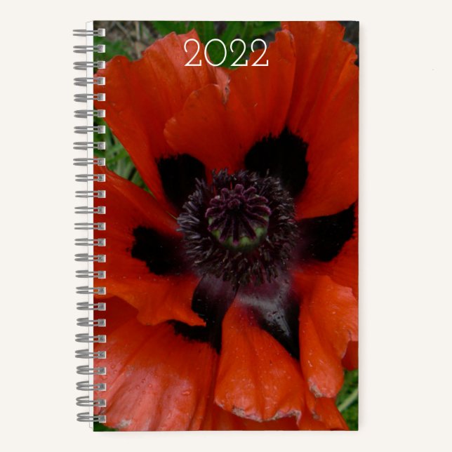 Oriental poppy     notebook (Front)