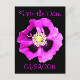 Oriental Poppy 'Save the Date' postcard black