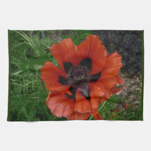 Oriental poppy tea towel