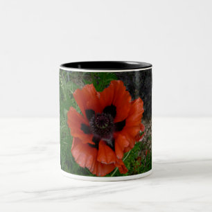 Oriental poppy Two-Tone coffee mug