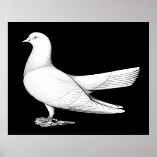 Oriental Roller: Flying Type Poster