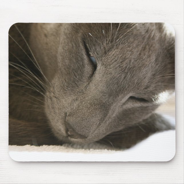 Oriental Shorthair Cat Mouse Mat (Front)