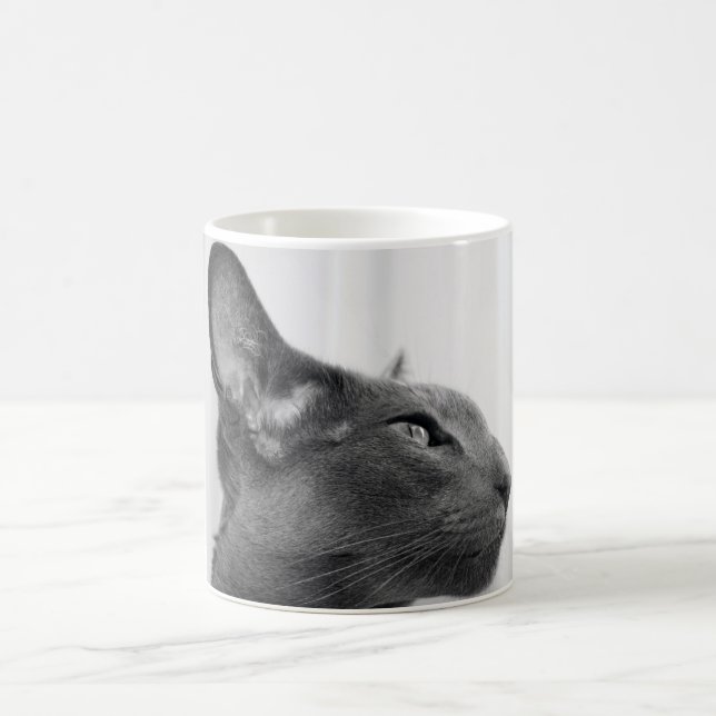 Oriental Shorthair Cat Mug (Center)