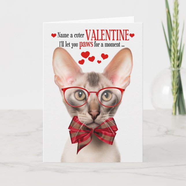 Oriental Shorthair Cat Valentine Feline Humour Holiday Card (Front)