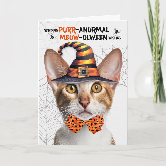 Oriental Shorthair Tabby PURRanormal MEOWolween Holiday Card (Front)