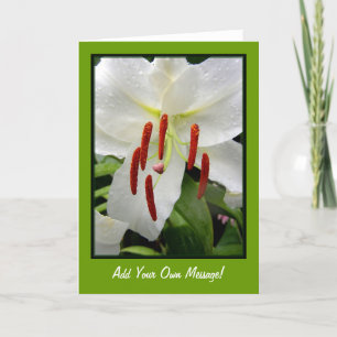 Oriental White Lily Card