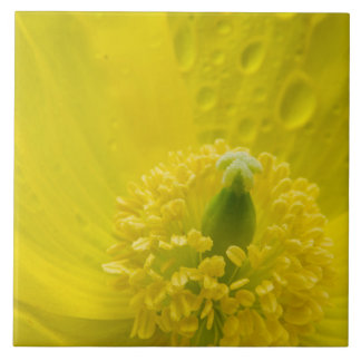 Oriental Yellow Poppy Tile