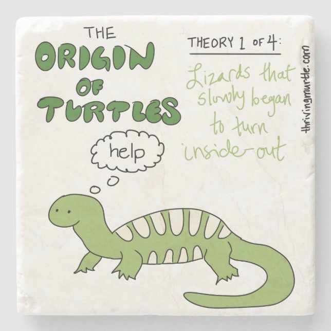 Origin of Turtles Theory 1 Stone Coaster (Front)