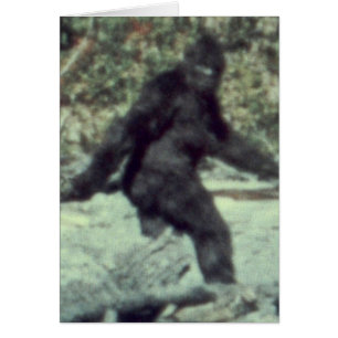 ORIGINAL 1967 BIGFOOT SASQUATCH PHOTO