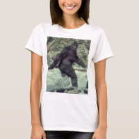 ORIGINAL 1967 BIGFOOT SASQUATCH PHOTO