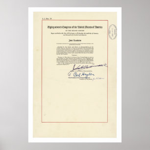 ORIGINAL 24th Amendment U.S. Constitution Poster