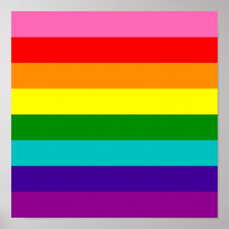 original_8_stripe_lgbt_gay_pride_rainbow_flag_poster-r3f4109634c904659a19bda3c4ba5da48_wvk_8byvr_324.jpg