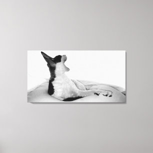 Original art: "Kitsa Diva" Canvas Print