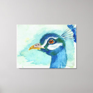 Original Art - Peacock by Maria Tzamtzi Canvas Print