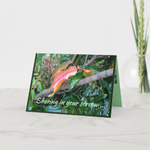 Original British Columbia Photo on Sympathy Card