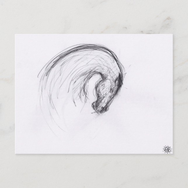 Original Drawing 2 Horse Year Zodiac Postcard (Front)