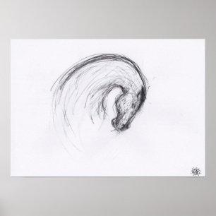 Original Drawing 2 Horse Year Zodiac Poster