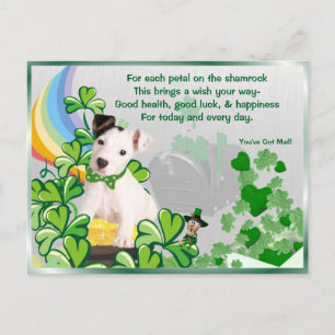 Original Jack Russell St Pattys You've Got Mail #3 Postcard