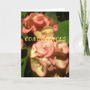 Original photo and drawing on Sympathy Card