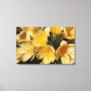 Original Photograph of Flowers Canvas Print