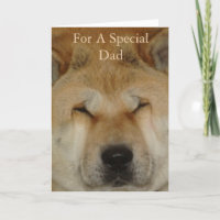 original picture of dog smiling for dad