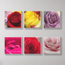 Original Rose Photo Rose Floral Canvas Wall Art