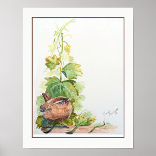 Original Watercolor Art Pacific Wren Bird Animal  Poster