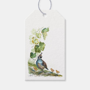 Original Watercolor California Quail Family Grapes Gift Tags