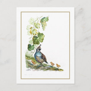 Original Watercolor California Quail Family Grapes Postcard