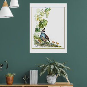 Original Watercolor California Quail Family Grapes Poster