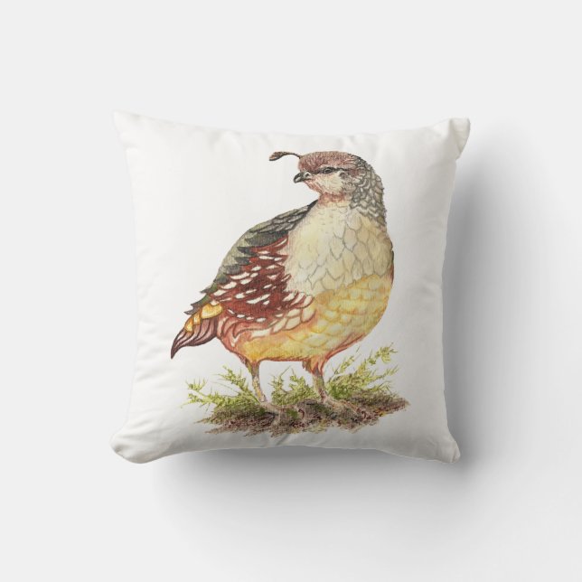 Original Watercolor California Quail  Garden Bird Cushion (Front)