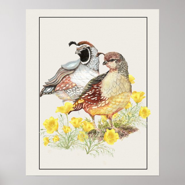 Original Watercolor California Quail Male & Female Poster (Front)